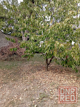 Продаётся дом. Макеевка - изображение 10