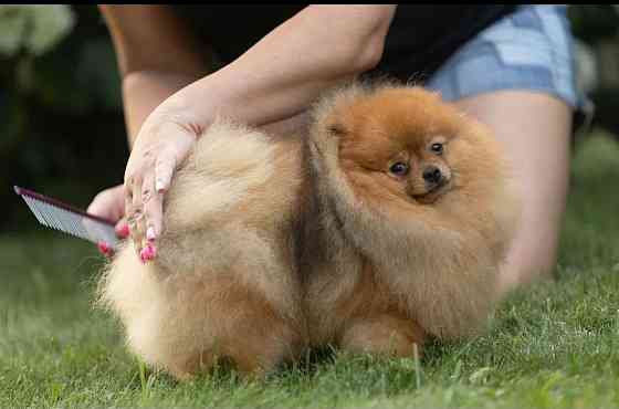 Вязка Донецк