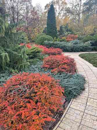 Куплю 2х комнатную Квартиру в Буденномском рн Донецк