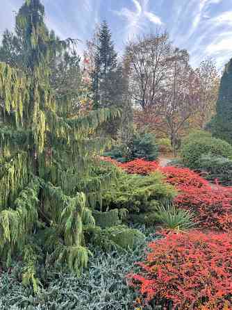 Куплю 2х комнатную Квартиру в Буденномском рн Донецк