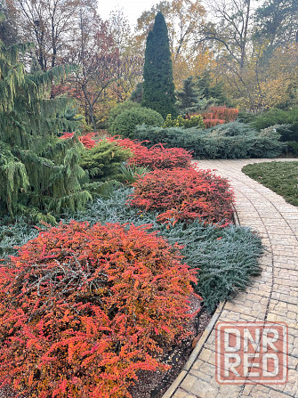 Куплю 2х комнатную Квартиру в Буденномском рн Донецк - изображение 2