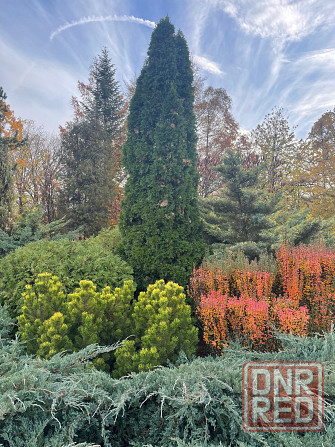 Куплю 2х комнатную Квартиру в Буденномском рн Донецк - изображение 1