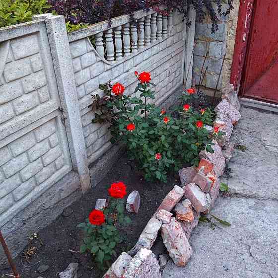 дом 5-ти комнатный, 100 м² на участке 15 сот., Донецк, Буденовский р-н, Донецк