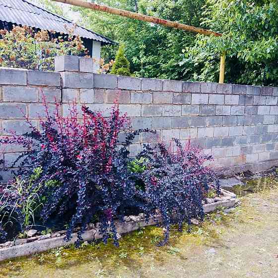 дом 5-ти комнатный, 100 м² на участке 15 сот., Донецк, Буденовский р-н, Донецк