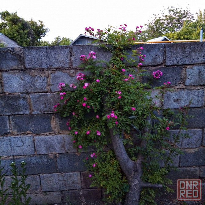 дом 5-ти комнатный, 100 м² на участке 15 сот., Донецк, Буденовский р-н, Донецк - изображение 7