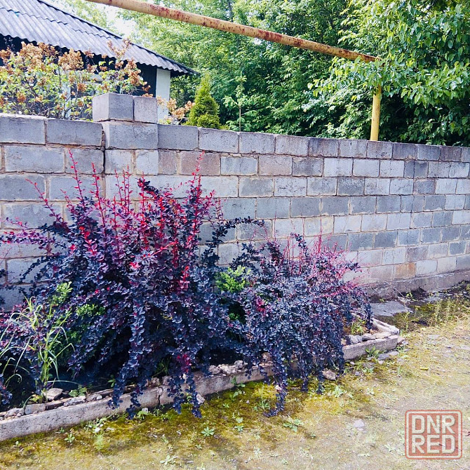 дом 5-ти комнатный, 100 м² на участке 15 сот., Донецк, Буденовский р-н, Донецк - изображение 1