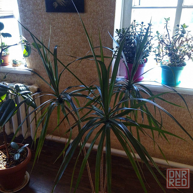 дом 5-ти комнатный, 100 м² на участке 15 сот., Донецк, Буденовский р-н, Донецк - изображение 9