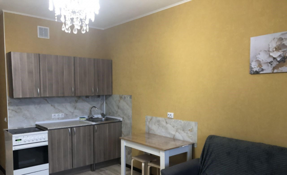 Сдается: Однокомнатная квартира Маяк Донецк