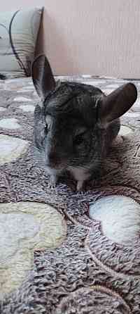 Продажа Донецк