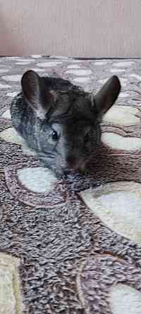 Продажа Донецк