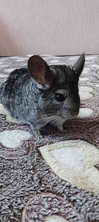 Продажа Донецк