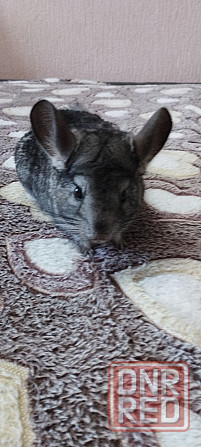 Продажа Донецк - изображение 2