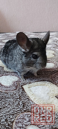 Продажа Донецк - изображение 3