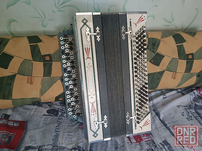 Баян мастеровой . Снежное Снежное - изображение 3