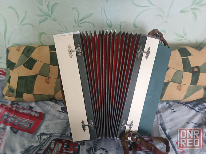 Баян мастеровой . Снежное Снежное - изображение 4