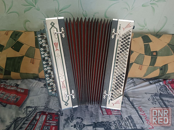 Баян мастеровой . Снежное Снежное - изображение 1