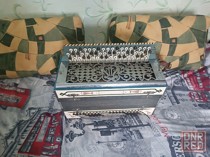 Баян мастеровой . Снежное Снежное - изображение 2