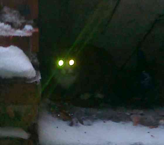 Кто не понял 26 г. на помойку Донецк