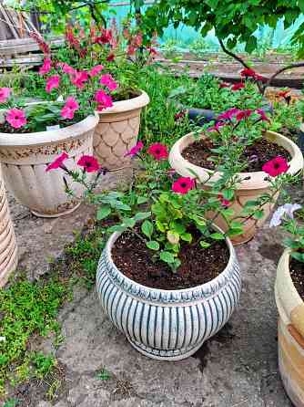 Горшок для цветов из шамотной глины Донецк