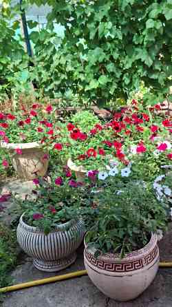 Горшок для цветов из шамотной глины Донецк