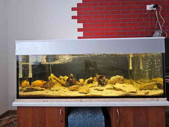 Аквариум Донецк