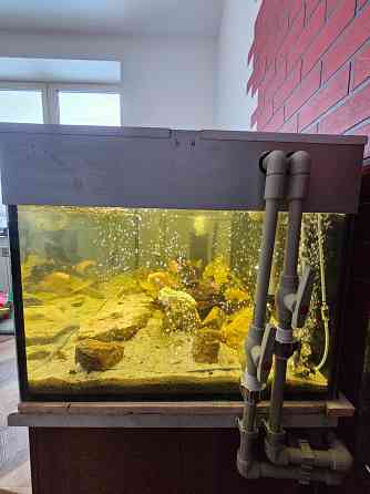 Аквариум Донецк