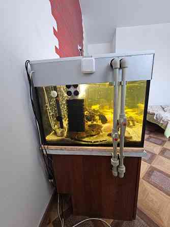 Аквариум Донецк