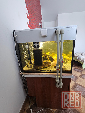 Аквариум Донецк - изображение 4