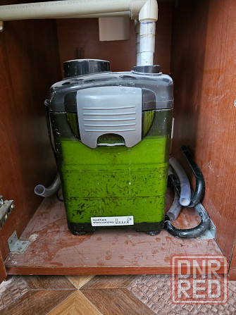 Аквариум Донецк - изображение 6