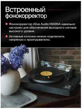 Виниловый проигрыватель Alive Audio Magna PRO Series Донецк