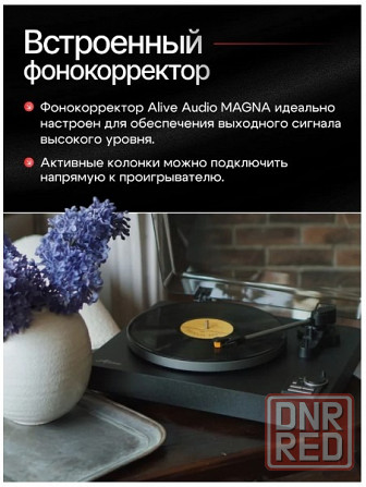 Виниловый проигрыватель Alive Audio Magna PRO Series Донецк - изображение 6