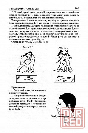 Продам книгу "Тайцзицюань стиль ян - Цзянь Фусинь" Донецк - изображение 5