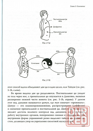 Продам книгу "Путь тайцзицюань (дао тайцзицюань) - Чжоу Цзунхуа" Донецк - изображение 3