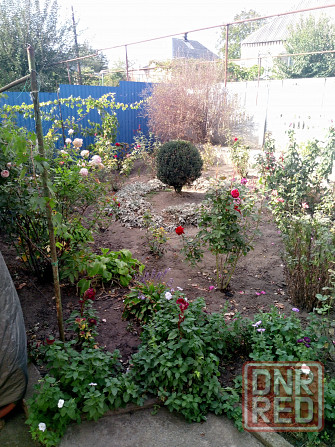 Продам дом Запорожье - изображение 8