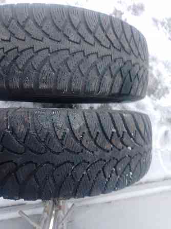 Продам две зимние покрышки R 15 разнобой. Донецк