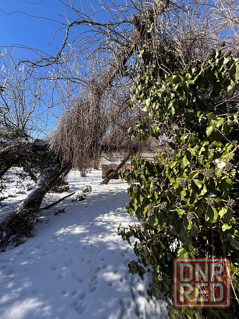 Дом 72 кв.м.и смежный приватизированный участок Макеевка - изображение 1