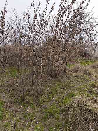 Продается земельный участок в Ильичевском районе Мариуполь