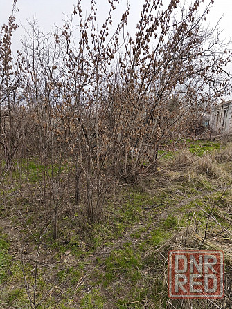 Продается земельный участок в Ильичевском районе Мариуполь - изображение 5