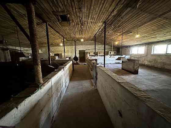 Продажа фермы в г. Старобешево Старобешево