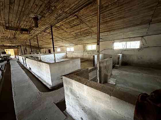 Продажа фермы в г. Старобешево Старобешево