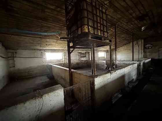 Продажа фермы в г. Старобешево Старобешево