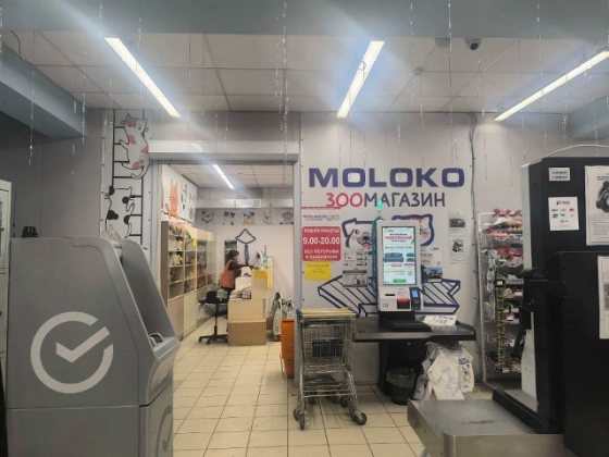 Аренда коммерческой недвижимости Макеевка