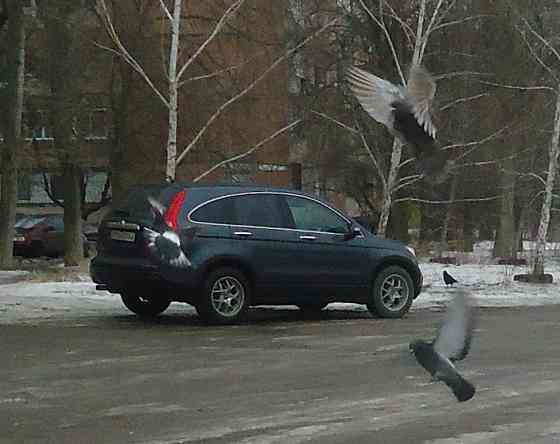 Сфера особого "Зеленстроя Ввs Донецк