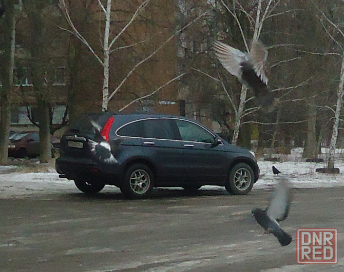 Сфера особого "Зеленстроя Ввs Донецк - изображение 1