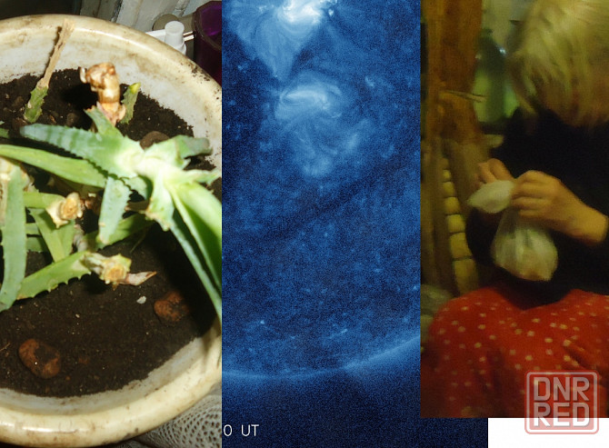 Елена Симонян, а.м. Фрекенбок Донецк - изображение 1