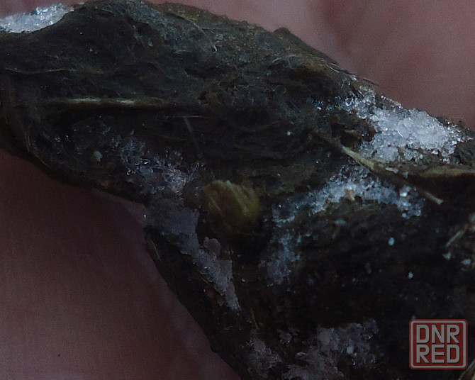 Ты куда идешь, выгнулись Мая Донецк - изображение 1