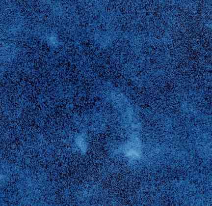 Ешшо бездельник консультант Донецк