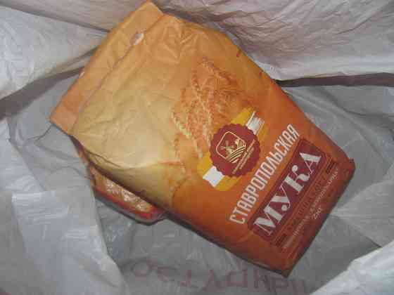 Если всё сложит, общак Порода Донецк