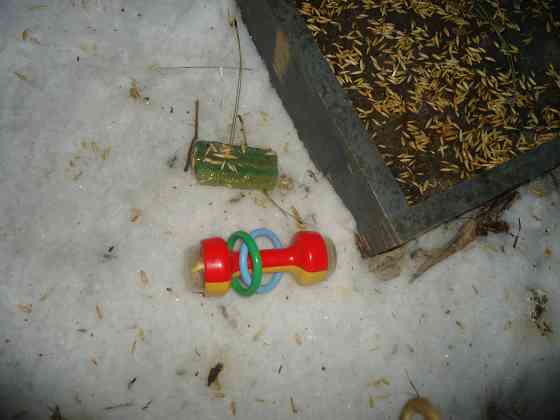 Как говорит Суниан. "Алюмний" Донецк