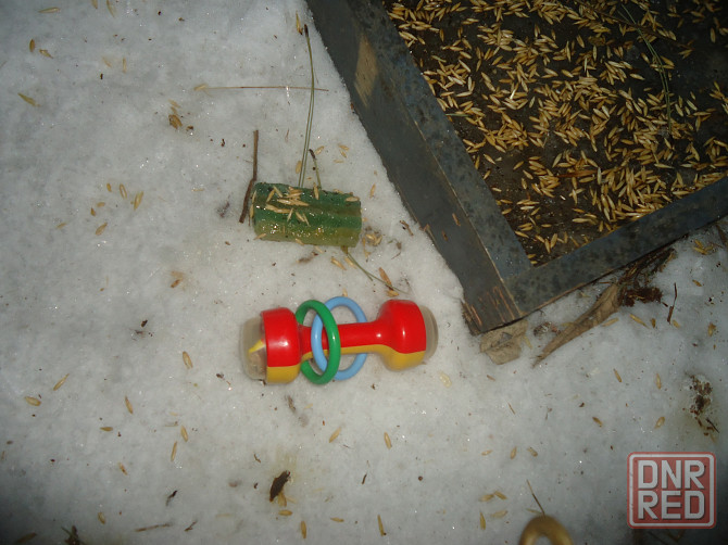 Как говорит Суниан. "Алюмний" Донецк - изображение 1